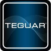 [TEG-TMT-4391-BASICMOUNT] Basic Mount, Docking Station VESA 75 Teguar TMT-4391-BASICMOUNT