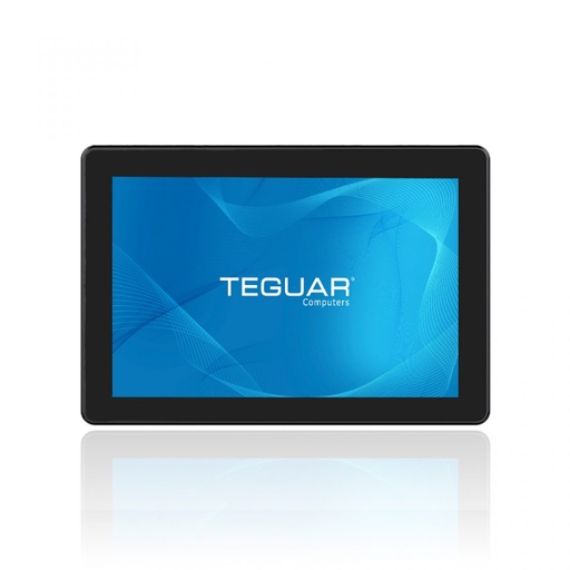 Teguar TP-4180 Series - Economy Panel PC Series